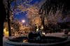 il giardino di piero con la neve.jpg